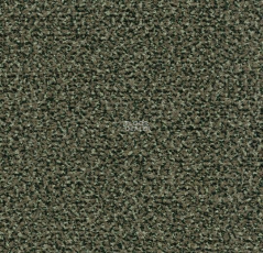 Forbo Coral Classic 4758 olive фото 1 | FLOORDEALER